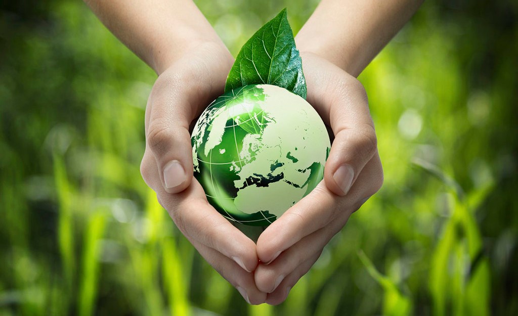 Investment In Agriculture(1)