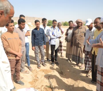 wp image2693501905915808669.jpg